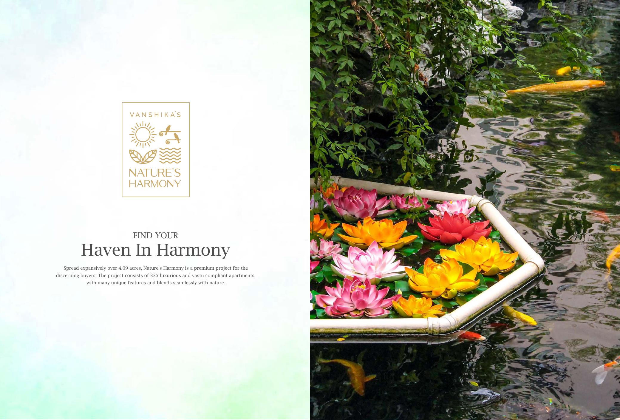 Nature's Harmony project visual 2